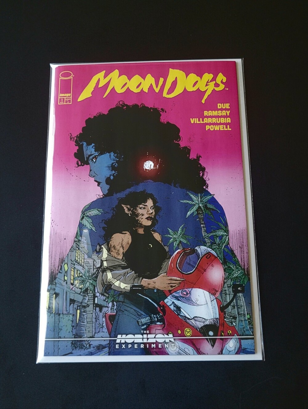 Moon Dogs #1